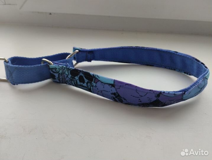 Ошейники для собак