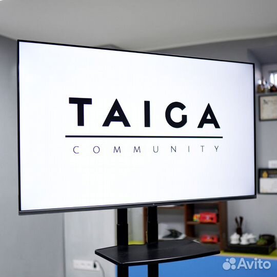 Экран для проектора бу