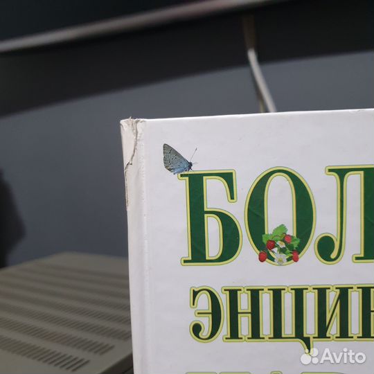 Книга Большая энциклопедия народной медицины