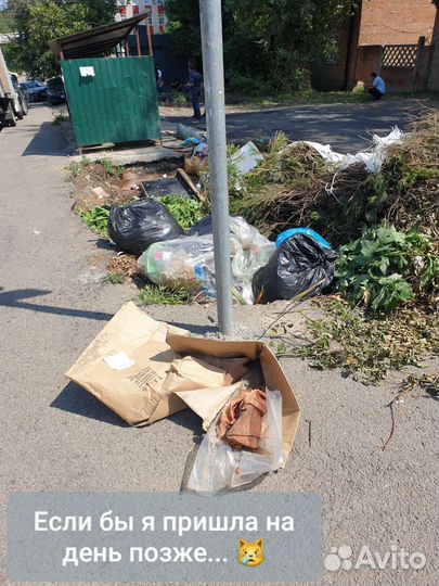 Маленькие котята с мусорки