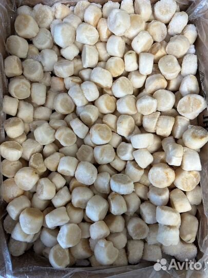 Северо-Курильский Гребешок Филе