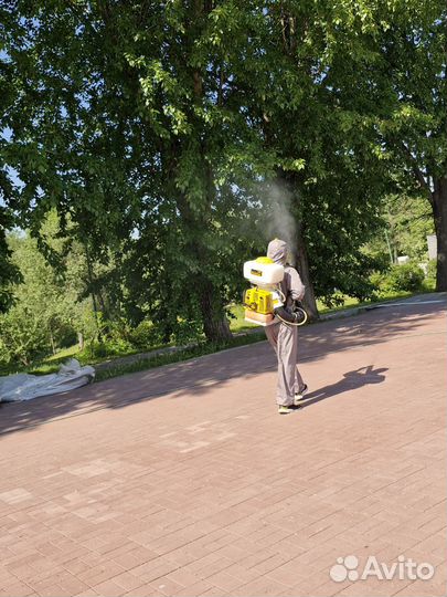 Дезинфекция, клещи, клопы, тараканы, комары