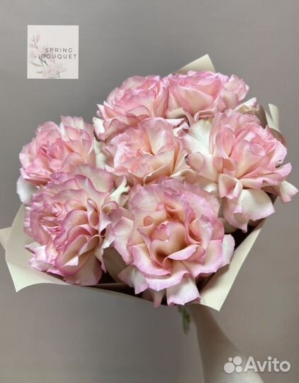 Розы Эквадор кустовые эвкалипт