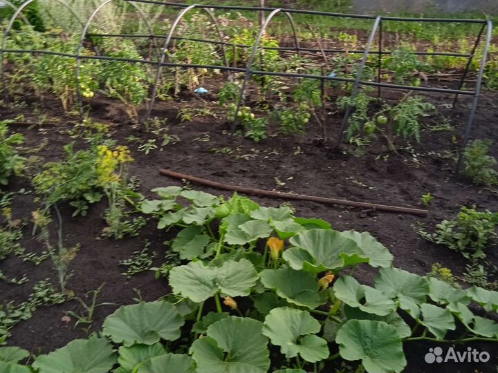 Парник пластмассовый трубки толстые