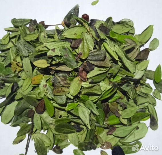 Лист брусники 1 кг