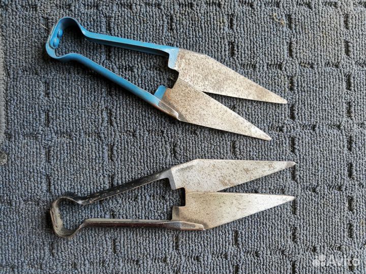 Ножницы для стрижки овец