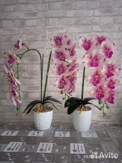 Композиция Орхидея