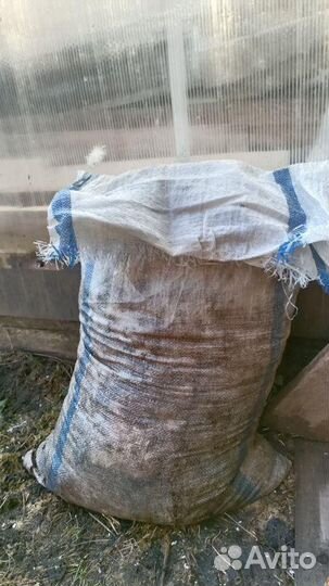 Перепелиный помёт