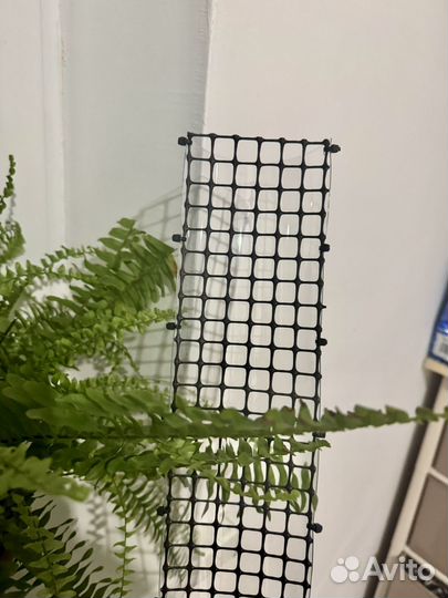 Тотем, опора для растений