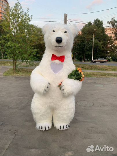 Белый мишка поздравление