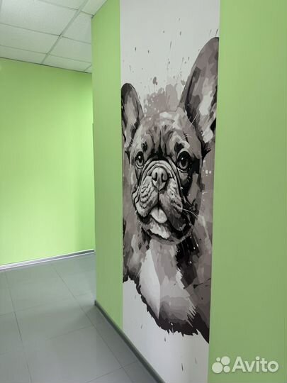 Ветеринарный врач