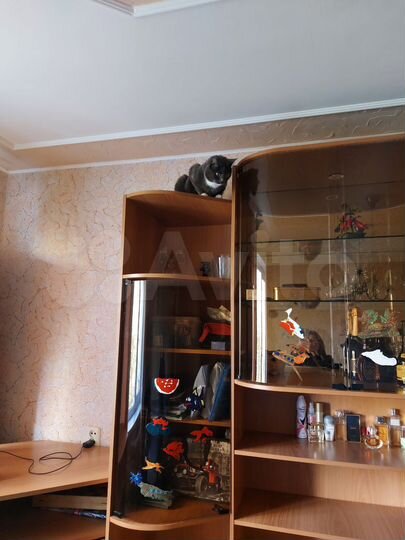 2-к. квартира, 42 м², 4/5 эт.