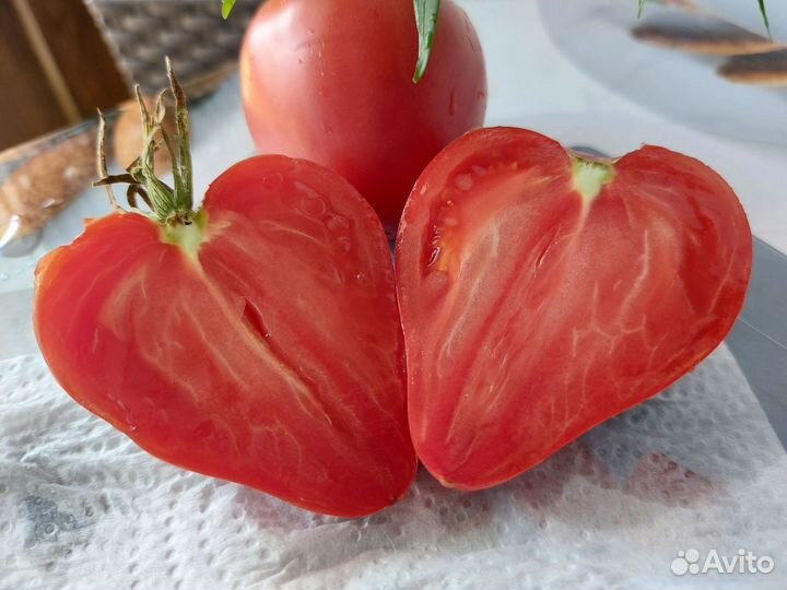 Семена Томатов