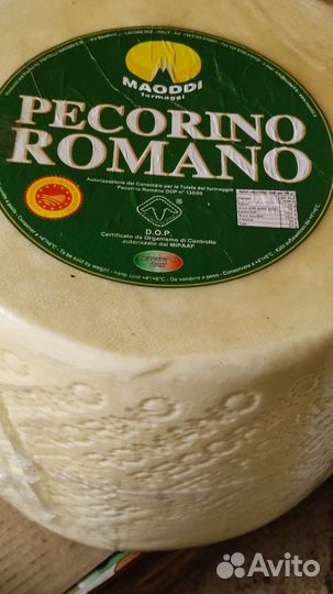 Сыры из европы (Pecorino Romano) Италия 8—12 месяц