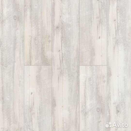 ECO 107-88 MC Акация Click Alpine Floor Classic