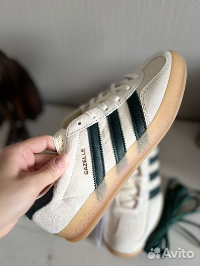 Adidas gazelle indoor