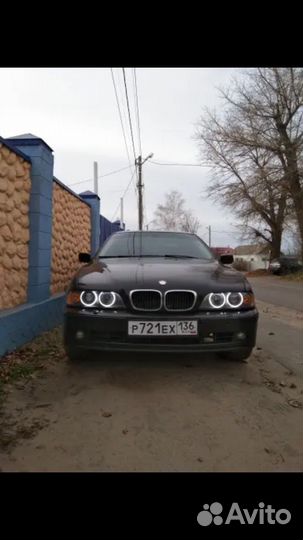 Ангельские глазки bmw е46,е39,е34,е36,е60,e53