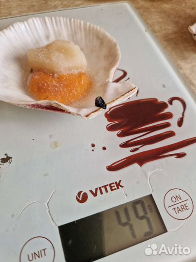 Морской гребешок