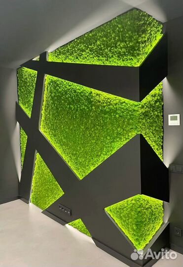 Фитопанели/ фитопанно / картины из мха/ озеленение