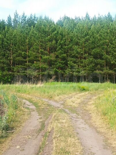 Участок 10 сот. (ИЖС)