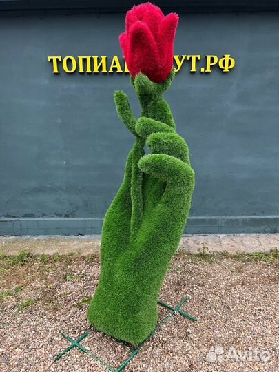 Топиари Топиарные фигуры Садовые фигуры