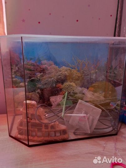 Аквариум