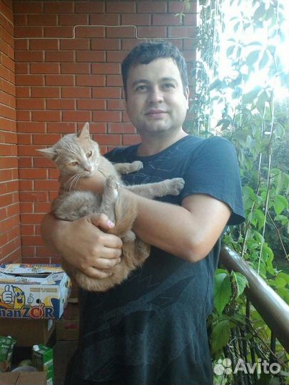 Друг на час. Собеседник