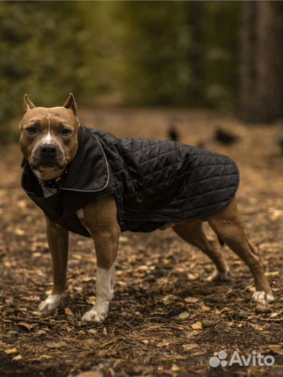 Попона куртка для собак