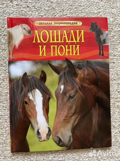 Книги о животных (Лошадях и кошках)