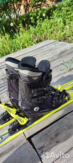 Горные лыжи