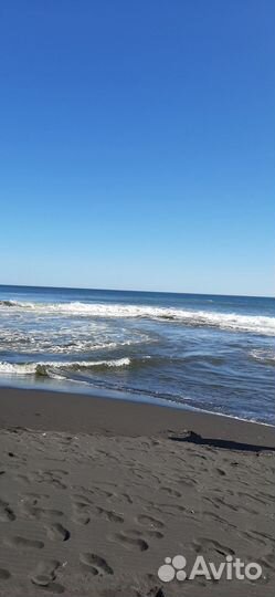 Поездка на Халактырский пляж (океан)