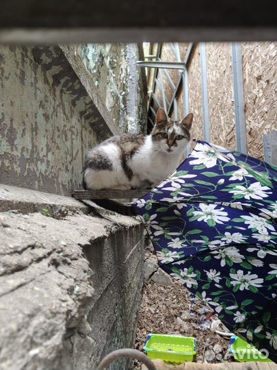 Вернули на промзону,но там Шерри в опасности.Шанс