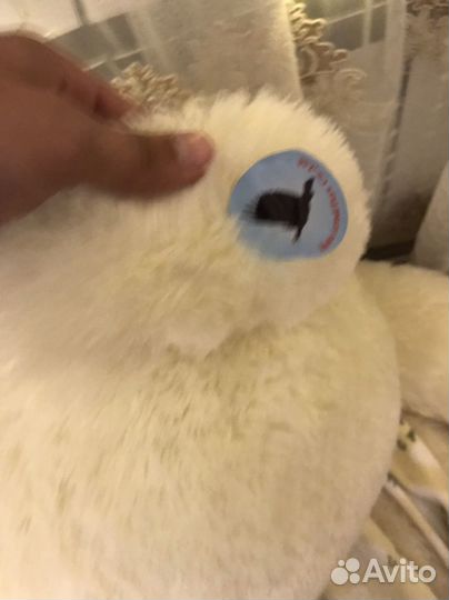 Плюшевый медведь