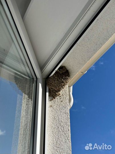 Взыскание неустойки долгов с застройщка дду