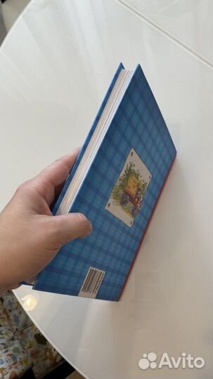 Книга «Папабабушка, 8 детей и грузовик» новая