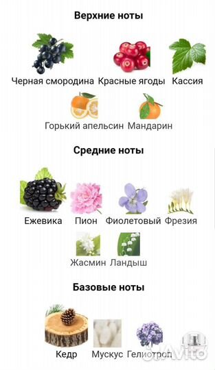 Gucci Eau de Parfum II edp, выпуск из первых