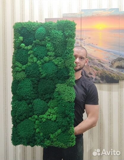 Натуральные живые яркие панно 25х50см из мха