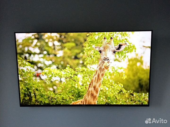 Телевизор hartens 75 диагональ