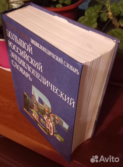 Большой российский энциклопедический словарь