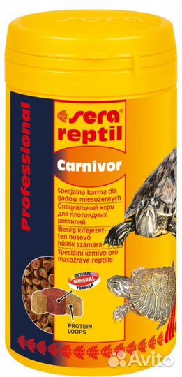 Пара красноухих черепах