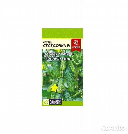 Семена Огурец Селедочка (Семена Алтая), 1уп.5семян