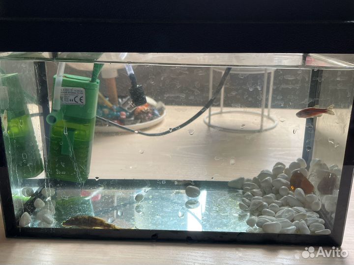 Аквариум с рыбками