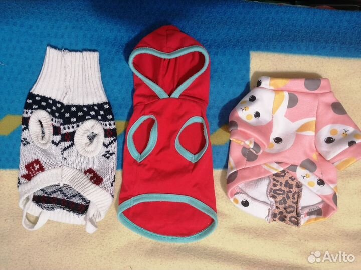 Одежда для собак мелких пород