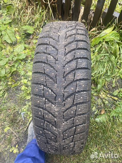 Vittos VWS31 195/65 R15
