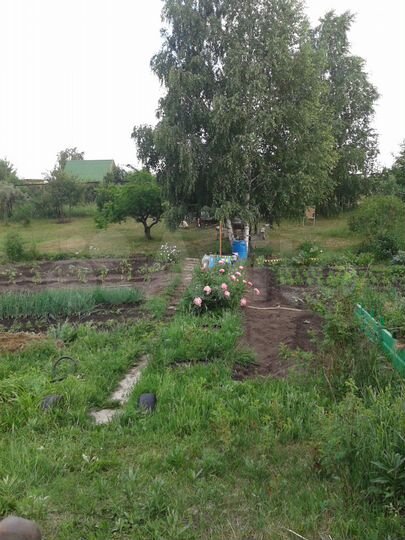 Участок 20 сот. (СНТ, ДНП)