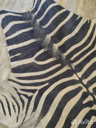Шкура зебры ковер