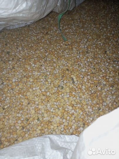 Горох половинки