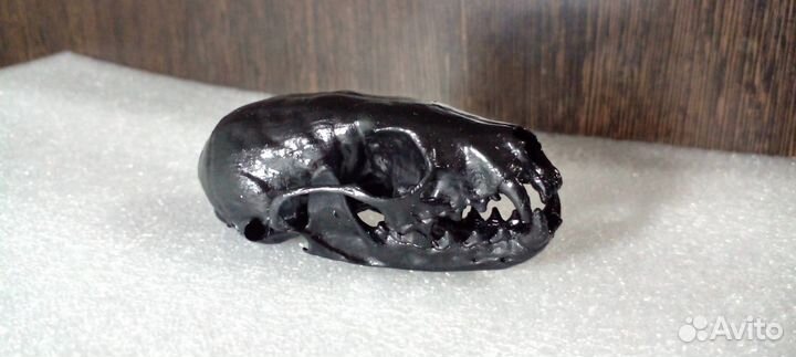 Интерьерный череп черный