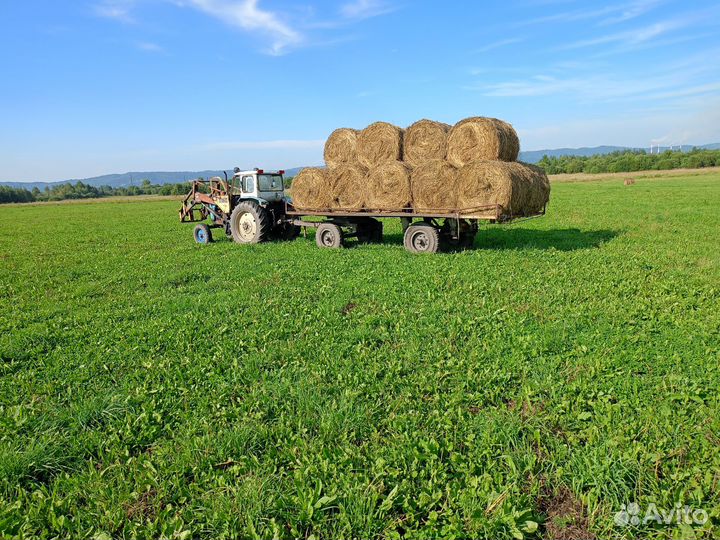 Сено в тюках