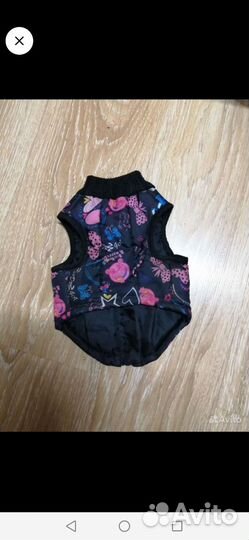 Ботиночки, жилетка, ошейник, шлейка, трусы